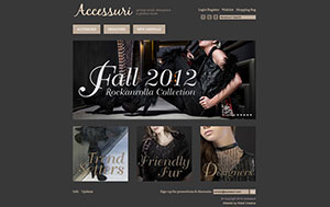 Accessuri