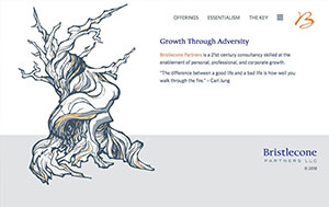 Bristlecone Partners